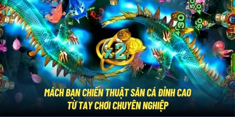 Mách bạn chiến thuật săn cá đỉnh cao từ tay chơi chuyên nghiệp