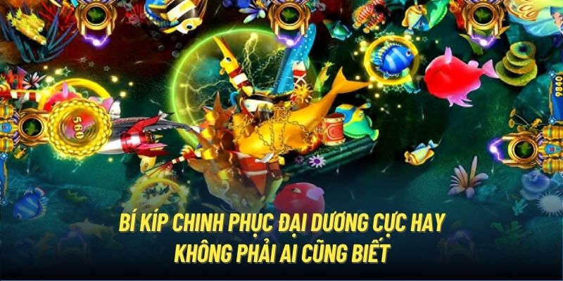 Bí kíp chinh phục đại dương cực hay không phải ai cũng biết