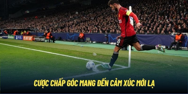 Cược chấp góc mang đến cảm xúc mới lạ