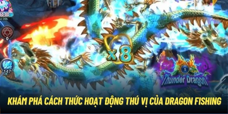 Khám phá cách thức hoạt động thú vị của Dragon Fishing